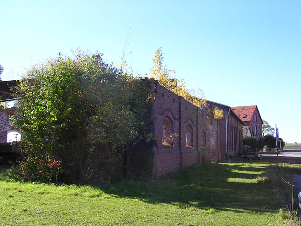 SANY3093sm.jpg
