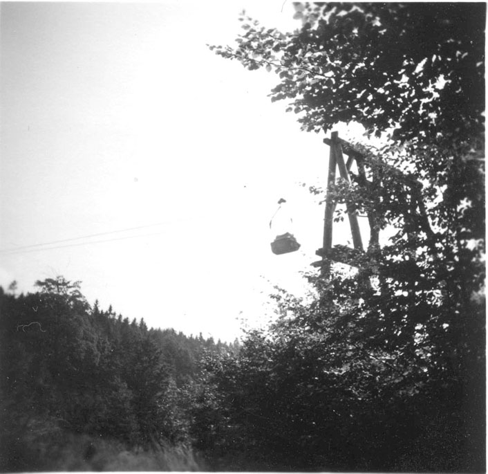holzhau-KW4.jpg