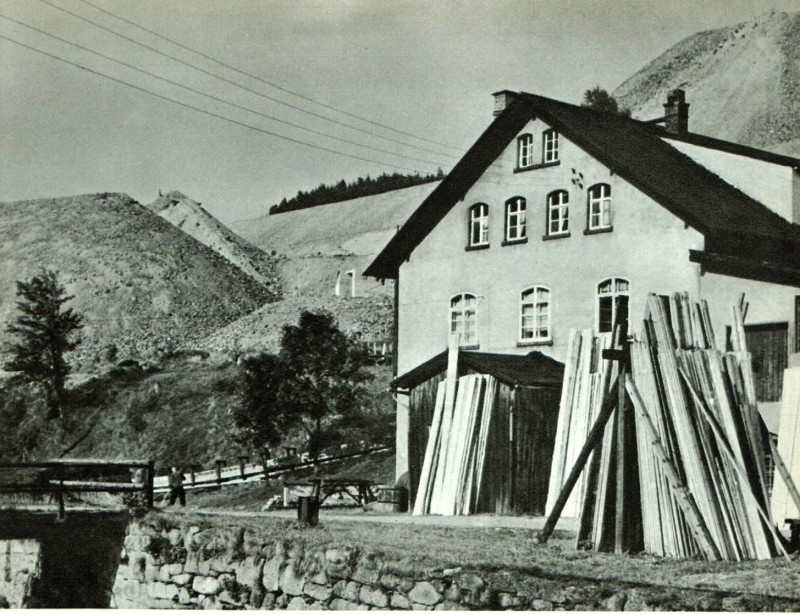 4 - Der natürliche reichtum des Erzgebirges sein Erz und das Holz.jpg