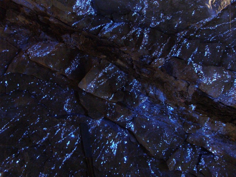 Qld_Watershed_pod adit_scheelite mineralisation (7).jpg