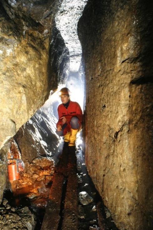 Ein von uns entdeckter alter Stollen im Schauinsland mit Holzschienen.