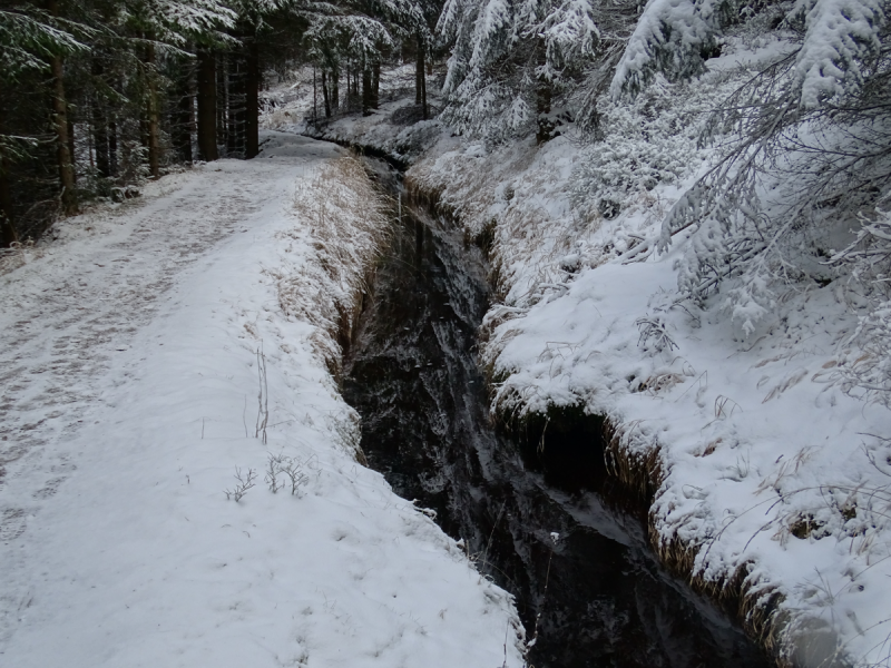 Grüner Graben am 26.12.2020