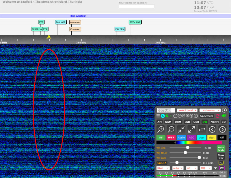 Kiwi2-DB0SLF-3579,610.jpg