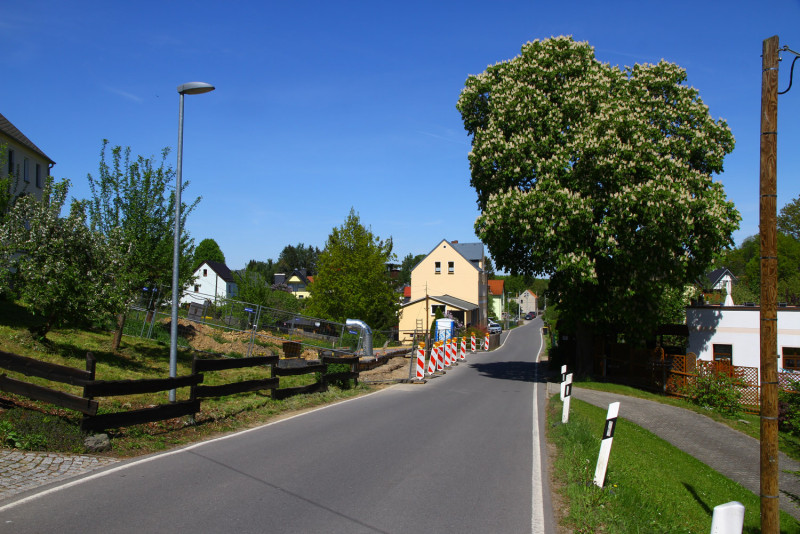 IMG_9421.jpg