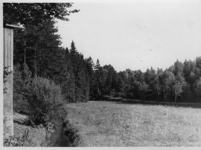 195x_Am Kunstgraben b Fg 2.jpg