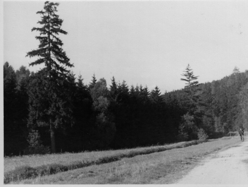 195x_Am Kunstgraben b Fg 5.jpg