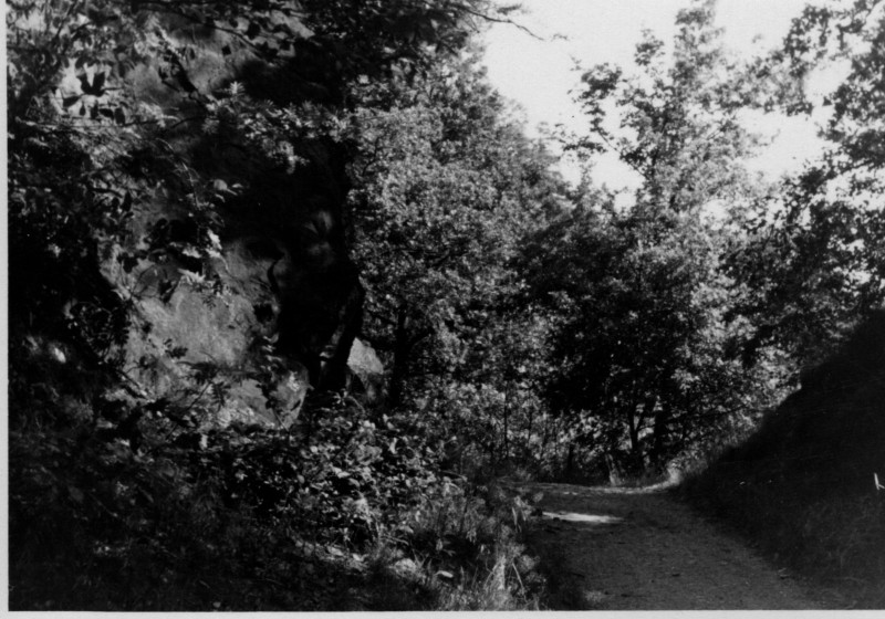 195x_Am Kunstgraben b Fg 6.jpg