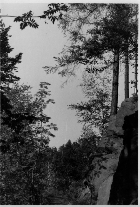 195x_Am Kunstgraben b Fg 7.jpg