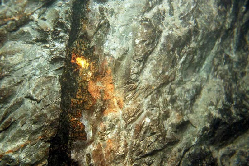 17.10.-073-Störung-kl.jpg