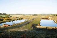 The Whittle site.jpg
