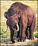 Mastodon.jpg
