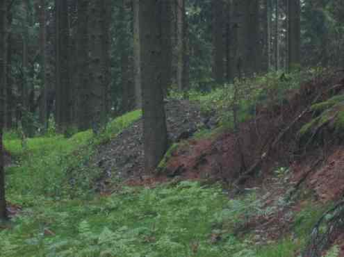 an manchen Stellen wächst schon Gras (Gangbereich Türkischer Marsch)