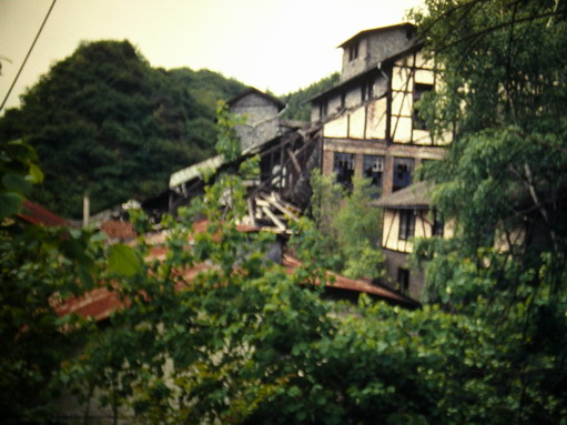 P1000084.jpg
