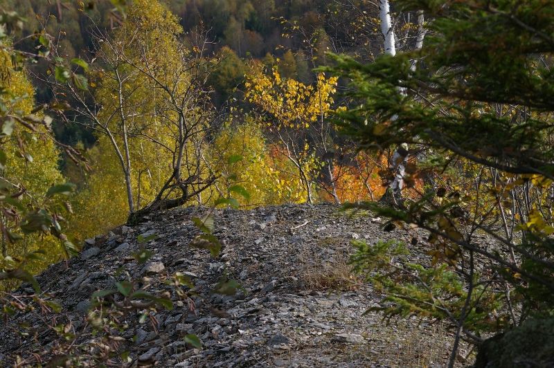 herbst_auf_halde_sct245.jpg