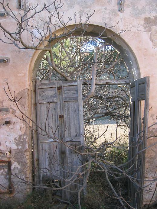 Die Baume gewinnen der Machinenhaus zuruck von der Pozo ('schacht') Francisco de Paula, Cabezo Rajado, januari 2005