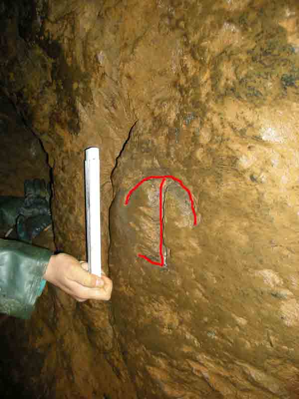 regenschirmgedinge1a_klein.jpg
