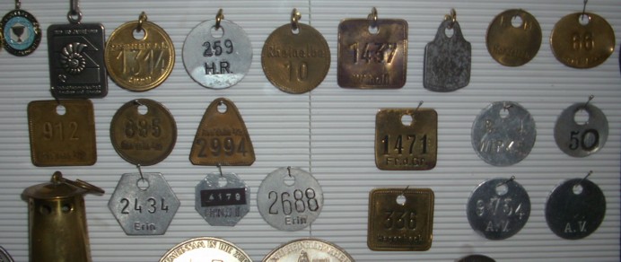 2011arben-05.jpg