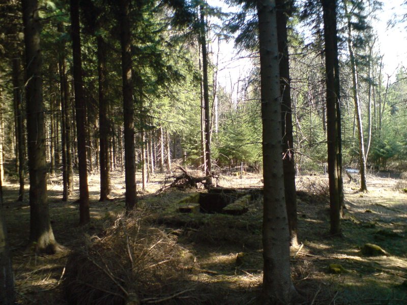 Fundamente der Förderwinde und davor der Schacht. (Quelle: geophys 2009)