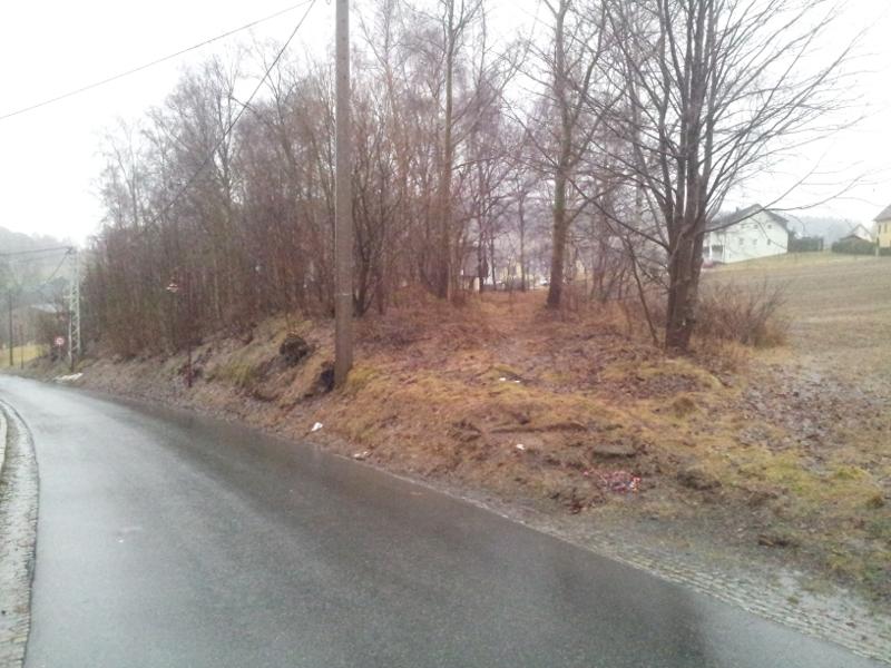 Halde Schurf 548 :: Buchholz DörflerWeg, zwischen Einmündung Rosen- und Nelkenweg angesetzt