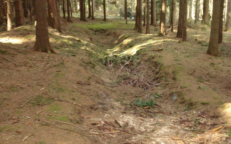 196. Schurfgraben Flst. 1168.jpg