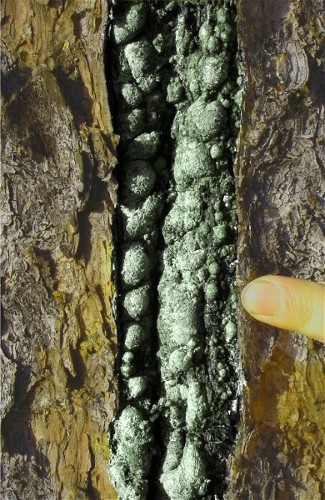 Kopie von 110413 006.jpg