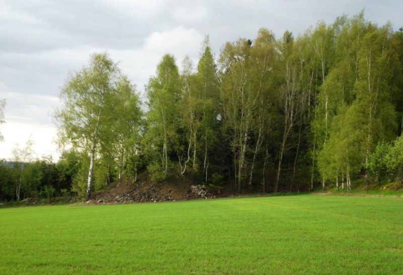 Halde Schurf 21.jpg