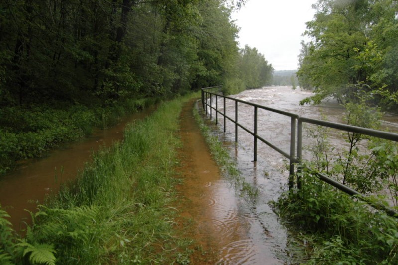 Mulde am Roten Graben