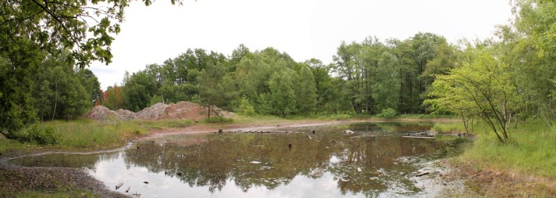 Salzhalde mit Teich