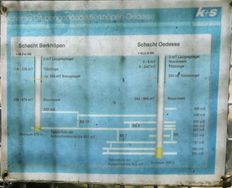 schematische Darstellung