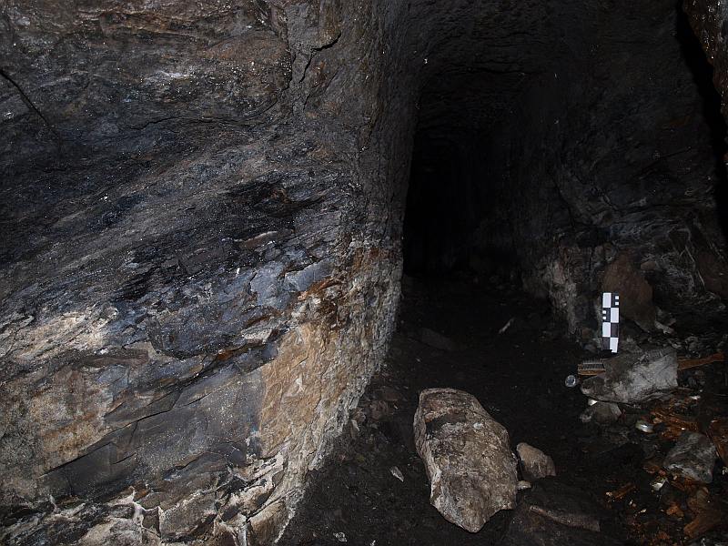 Kohleflöz aus dem Unterotliegenden in einem Stollen bei Altenbamberg in der Nordpfalz.