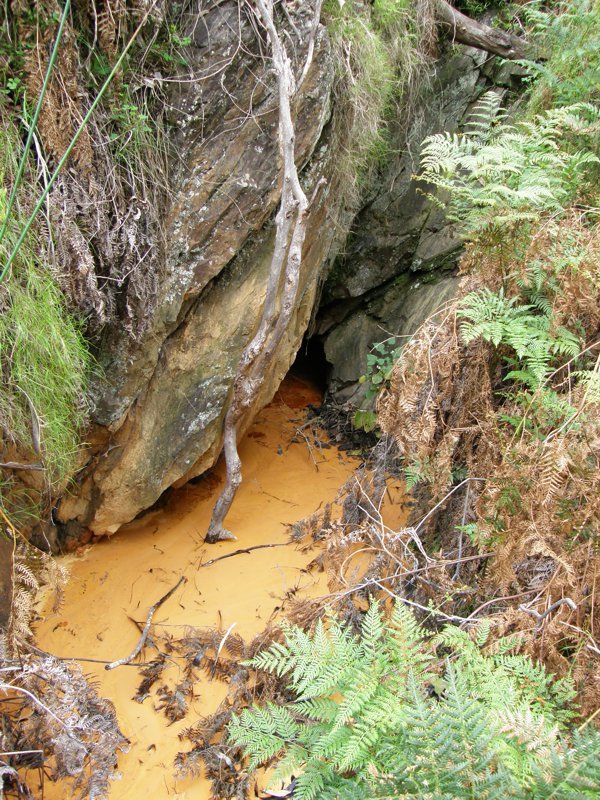 Acid Mine Drainage.