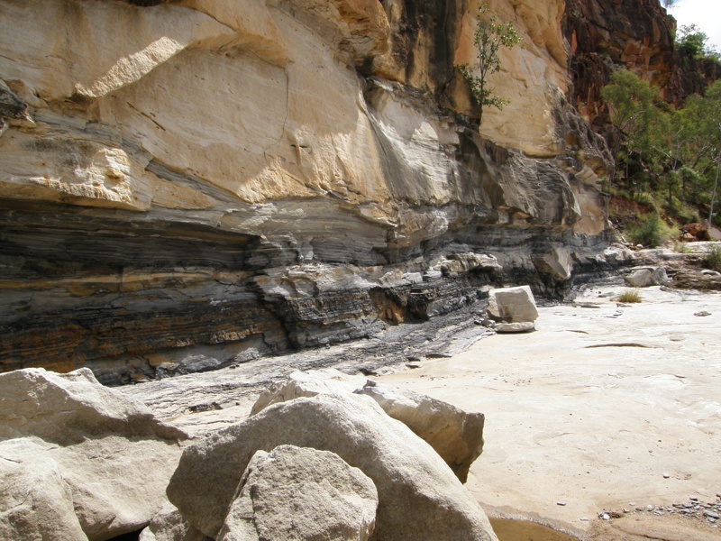 Die Kohlefloeze der Betts Creek Beds im Porcupine Gorge