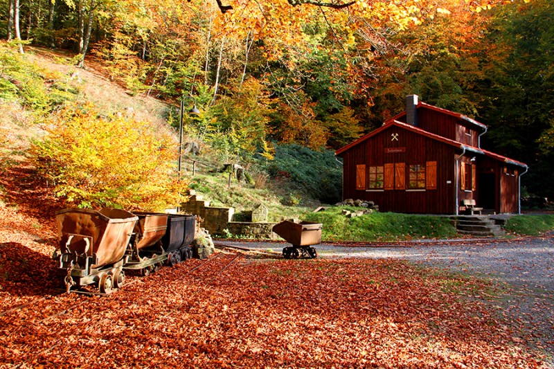 feggendorfer-stollen-im-herbst.jpg