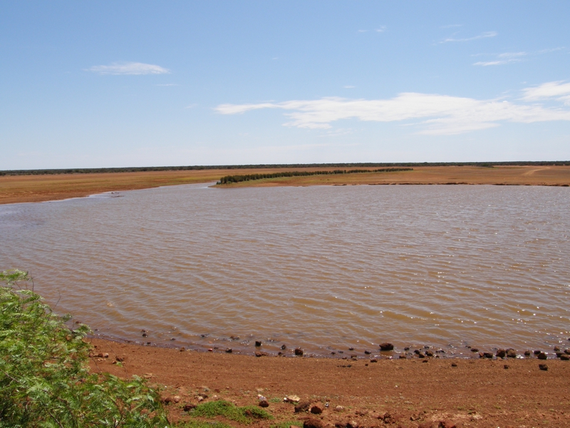 Der Filzteich des Outbacks - diente unter anderem der Wasserversorgung der Eisenbahn. Kann man auch fischen gehen und Yabbies fangen.