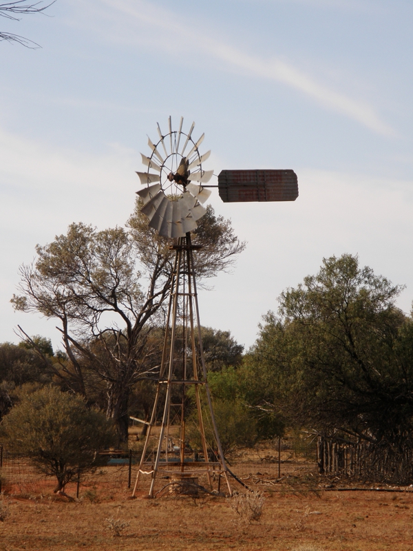 Australische Ikone an einer Sheep Station.