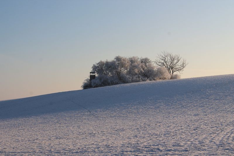 2016-01-22 Gut Glück I.jpg