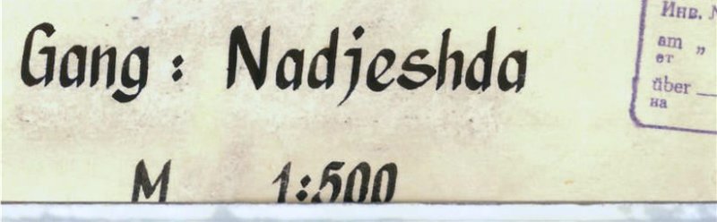 nadjeshda.jpg